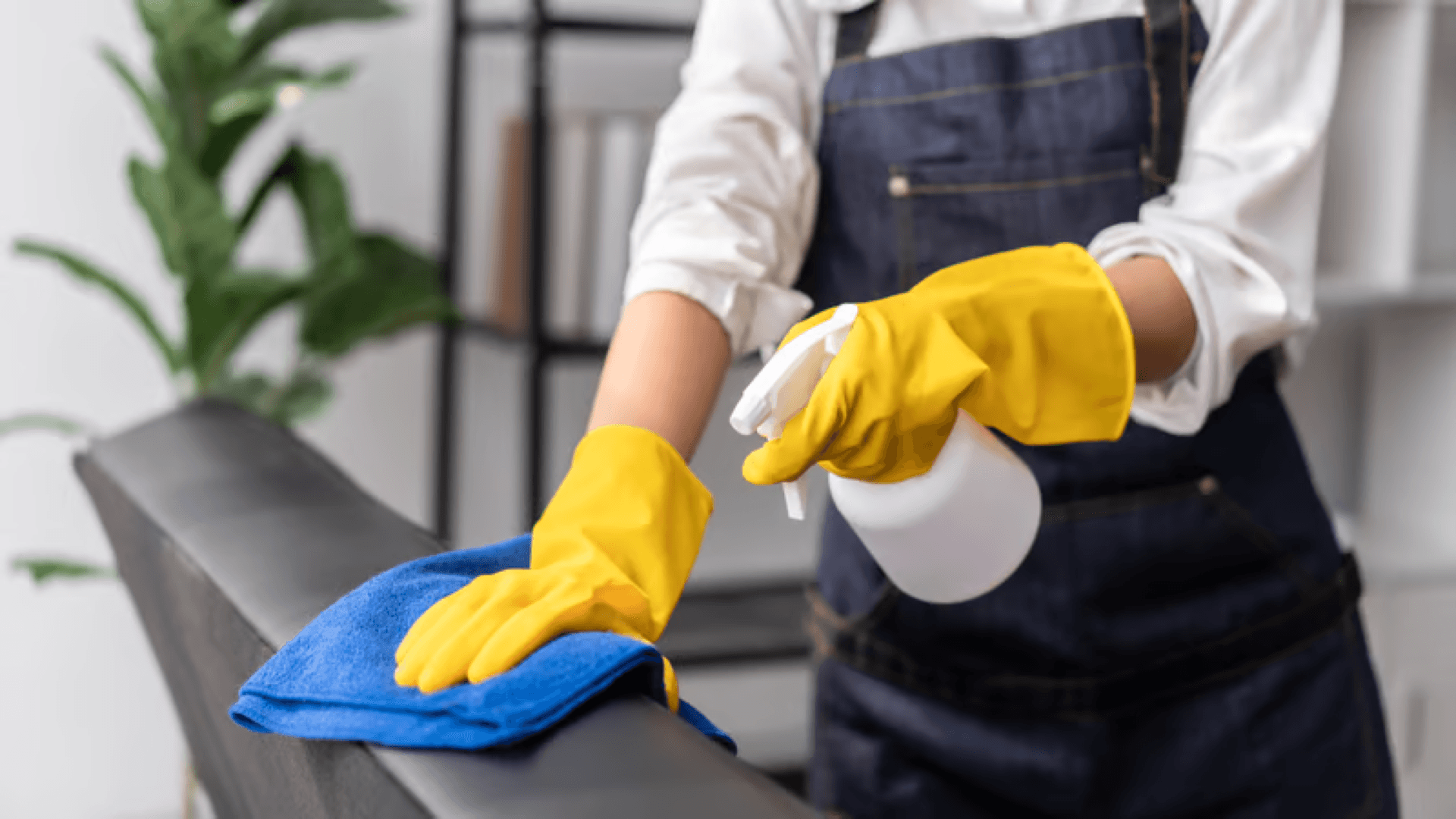 House Cleaning