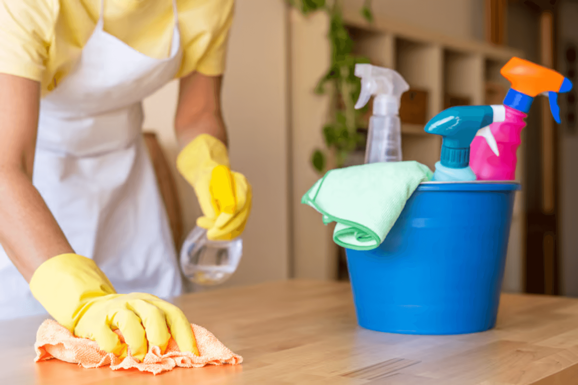 Paula Dias cleaning a home